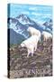 Breckenridge, Colorado, Mountain Goat Family-Lantern Press-Stretched Canvas