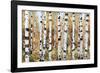 Breckenridge-Mark Chandon-Framed Giclee Print