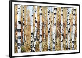 Breckenridge-Mark Chandon-Framed Giclee Print