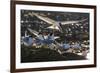 Breeding Elegant Terns (Thalasseus Elegans) Return to Colony on Isla Rasa-Michael Nolan-Framed Photographic Print