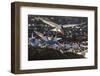 Breeding Elegant Terns (Thalasseus Elegans) Return to Colony on Isla Rasa-Michael Nolan-Framed Photographic Print