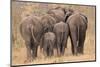 Breeding Herd of Elephant Walking Away Int the Trees-Alta Oosthuizen-Mounted Photographic Print