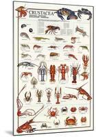 Breeds Of Crostacea (Italian)-null-Mounted Poster