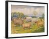 Breeds of sheep, c1902 (c1910)-Frank Babbage-Framed Giclee Print