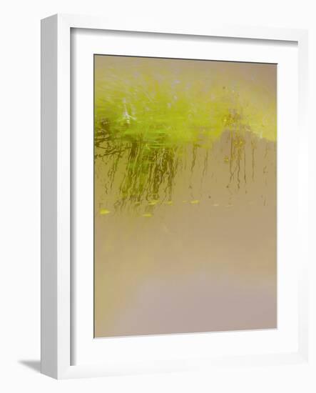 Breeze Amidst the Reeds-Valda Bailey-Framed Photographic Print