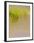 Breeze Amidst the Reeds-Valda Bailey-Framed Photographic Print