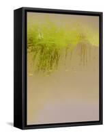 Breeze Amidst the Reeds-Valda Bailey-Framed Stretched Canvas