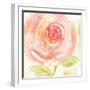 Breeze Bloom IV-Sue Schlabach-Framed Art Print