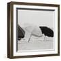 Breeze I-Cyndi Schick-Framed Giclee Print