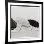 Breeze I-Cyndi Schick-Framed Giclee Print