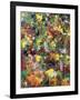 Breeze of Freshness-Maryse Pique-Framed Giclee Print