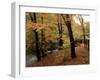 Breezy Autumn Day by the River Brathay Footbridge, Skelwith Bridge, Cumbria, England-Pearl Bucknall-Framed Photographic Print