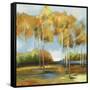 Breezy Birches-Anna Polanski-Framed Stretched Canvas