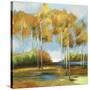 Breezy Birches-Anna Polanski-Stretched Canvas