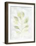 Breezy Fronds I-Vanna Lam-Framed Art Print