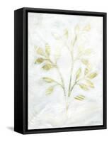 Breezy Fronds II-Vanna Lam-Framed Stretched Canvas
