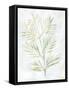 Breezy Fronds III-Vanna Lam-Framed Stretched Canvas