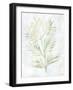 Breezy Fronds III-Vanna Lam-Framed Art Print