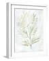 Breezy Fronds III-Vanna Lam-Framed Art Print