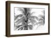 Breezy I-Elizabeth Urquhart-Framed Photographic Print