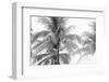 Breezy I-Elizabeth Urquhart-Framed Photographic Print