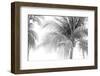 Breezy III-Elizabeth Urquhart-Framed Photographic Print