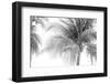 Breezy III-Elizabeth Urquhart-Framed Photographic Print