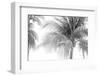 Breezy III-Elizabeth Urquhart-Framed Photographic Print