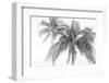 Breezy IV-Elizabeth Urquhart-Framed Photographic Print