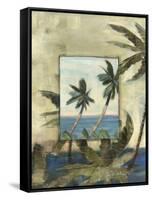 Breezy Palms, no. 1-Jeff Surret-Framed Stretched Canvas