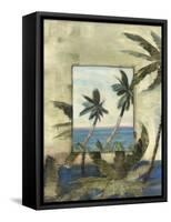 Breezy Palms, no. 1-Jeff Surret-Framed Stretched Canvas