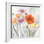 Breezy Poppies 2-DB Studios-Framed Art Print