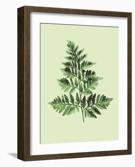 Bregne-Heaven on 3rd-Framed Art Print