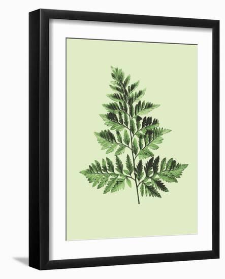 Bregne-Heaven on 3rd-Framed Art Print