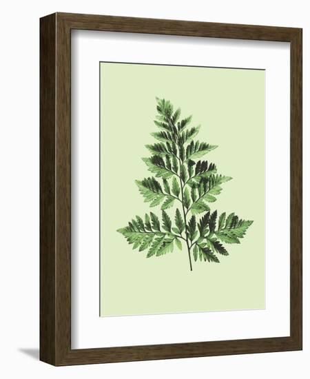 Bregne-Heaven on 3rd-Framed Art Print