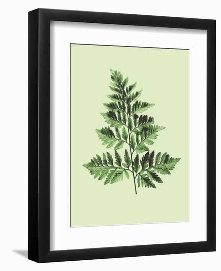 Bregne-Heaven on 3rd-Framed Art Print