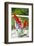 Bremerton, Washington State, USA. Gladiola flowers-Jolly Sienda-Framed Photographic Print