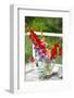 Bremerton, Washington State, USA. Gladiola flowers-Jolly Sienda-Framed Photographic Print