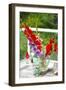 Bremerton, Washington State, USA. Gladiola flowers-Jolly Sienda-Framed Photographic Print