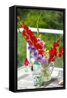 Bremerton, Washington State, USA. Gladiola flowers-Jolly Sienda-Framed Stretched Canvas