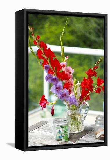 Bremerton, Washington State, USA. Gladiola flowers-Jolly Sienda-Framed Stretched Canvas