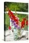 Bremerton, Washington State, USA. Gladiola flowers-Jolly Sienda-Stretched Canvas