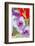 Bremerton, Washington State, USA. Gladiola flowers-Jolly Sienda-Framed Photographic Print