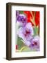 Bremerton, Washington State, USA. Gladiola flowers-Jolly Sienda-Framed Photographic Print