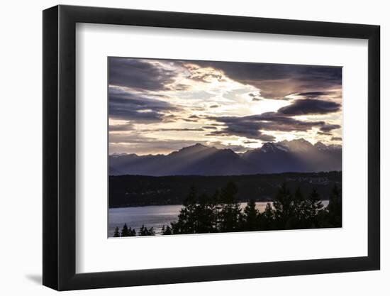 Bremerton, Washington State, USA, Olympic Mountains, Puget Sound sunset-Jolly Sienda-Framed Photographic Print