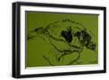 Black Frame