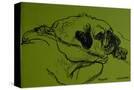 Stretched Canvas