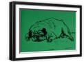 Black Frame