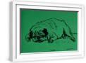 White Frame