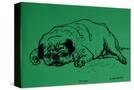 Stretched Canvas